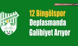 Lider 12 Bingölspor, Diyarbakır Deplasmanında Galibiyet Arıyor