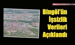 Bingöl'de İşsizlik Oranı 2025'te Yüzde 9,6 Oldu