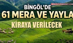 Bingöl'de 2026 Yılı İçin 61 Mera ve Yayla Kiraya Verilecek