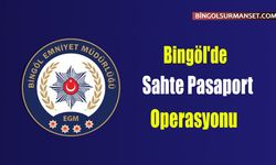 Bingöl'de Sahte Pasaport Operasyonu