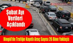 TÜİK Açıkladı: Bingöl'de Trafiğe Kayıtlı Araç Sayısı 26 Bine Yaklaştı