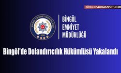 Bingöl'de Dolandırıcılık Hükümlüsü Yakalandı