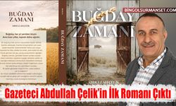 Gazeteci Abdullah Çelik’in İlk Romanı Çıktı