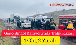 Genç-Bingöl Karayolu'nda Trafik Kazası: 1 Ölü, 2 Yaralı