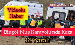 Bingöl-Muş Karayolu'nda Kaza: 12 Yaralı