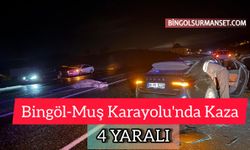 Bingöl-Muş Karayolu'nda Kaza: 4 Yaralı