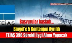 TEİAŞ 396 Sürekli İşçi Alımı Yapacak: Bingöl'e de 5 Kontenjan Ayrıldı