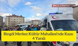 Bingöl Merkez Kültür Mahallesi'nde Kaza: 4 Yaralı