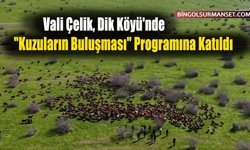 Vali Çelik, Dik Köyü'nde "Kuzuların Buluşması" Programına Katıldı