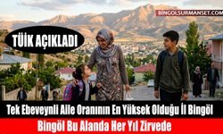 TÜİK Açıkladı: Tek Ebeveynli Aile Oranının En Yüksek Olduğu İl Bingöl