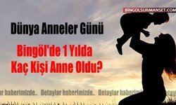 Dünya Anneler Günü: Bingöl'de 1 Yılda Kaç Kişi Anne Oldu?