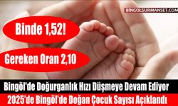 Bingöl'de Doğurganlık Hızı Düşmeye Devam Ediyor