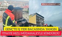Genç'te İş Yeri Bacasında Yangın Kontrol Altına Alındı