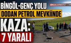 Bingöl-Genç Yolu Dodan Petrol Mevkiinde Kaza