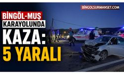 Bingöl-Muş Karayolunda Kaza: 5 Yaralı
