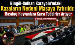 Bingöl-Solhan Karayolu'ndaki Kazaların Nedeni Masaya Yatırıldı