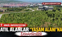 Bingöl Üniversitesi'nde Atıl Alanlar "Yaşam Alanı"na Dönüştürüldü