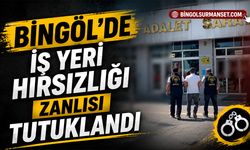 Bingöl’de İş Yeri Hırsızlığı Zanlısı Tutuklandı
