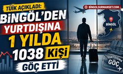 TÜİK Açıkladı: Bingöl'den Yurtdışına 1 Yılda 1038 Kişi Göç Etti
