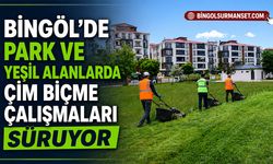 Park ve Yeşil Alanlarda Çim Biçme Çalışmaları Sürüyor