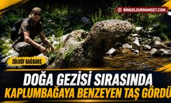 Doğa Gezisi Sırasında Kaplumbağaya Benzeyen Taş Gördü