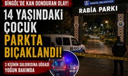 Bingöl’de Parkta Bıçaklı Kavga: 14 Yaşındaki Çocuk Yoğun Bakıma Kaldırıldı
