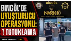 Bingöl'de Narkotik Operasyonu: 1 Tutuklama