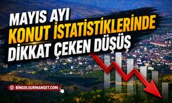 Mayıs Ayı Konut İstatistiklerinde Dikkat Çeken Düşüş
