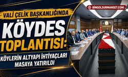 Vali Çelik Başkanlığında KÖYDES Toplantısı Yapıldı