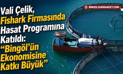 Vali Çelik, Fishark Firmasında Hasat Programına Katıldı
