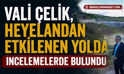 Vali Çelik, Heyelandan Etkilenen Yolda İncelemelerde Bulundu