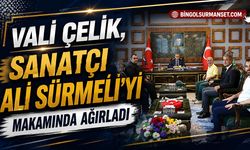 Vali Çelik, Sanatçı Ali Sürmeli’yi Makamında Ağırladı
