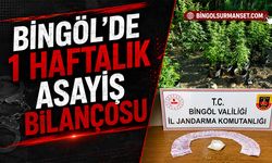 Bingöl'de 1 Haftalık Asayiş Bilançosu