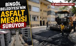 Bingöl Belediyesi'nin Asfalt Mesaisi Sürüyor