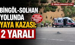 Bingöl-Solhan Yolunda Yaya Kazası: 2 Kişi Yaralı