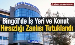 Bingöl’de İş Yeri ve Konut Hırsızlığı Zanlısı Tutuklandı