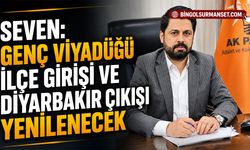Genç Viyadüğü İlçe Girişi ve Diyarbakır Çıkışı Yenilenecek