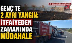 Genç'te 2 Ayrı Yangın: İtfaiyeden Zamanında Müdahale