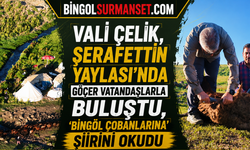 Vali Çelik, Şerafettin Yaylası’nda Göçer Vatandaşlarla Buluştu