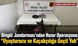 Jandarmadan Huzur Operasyonu: "Uyuşturucu ve Kaçakçılığa Geçit Yok"