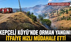 Kepçeli Köyü’nde Orman Yangını: İtfaiye Hızlı Müdahale Etti