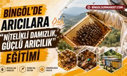 Bingöl’de Arıcılara Özel “Nitelikli Damızlık, Güçlü Arıcılık” Eğitimi