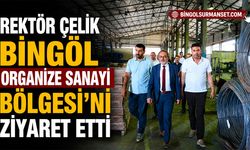 Rektör Çelik Bingöl Organize Sanayi Bölgesi’ni Ziyaret Etti