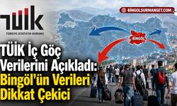 TÜİK 2025 Yılı İç Göç Verilerini Açıkladı: Bingöl'ün Verileri Dikkat Çekici