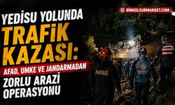 Yedisu Yolunda Trafik Kazası: 1 Kişi Hayatını Kaybetti