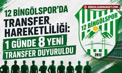 12 Bingölspor'da Transfer Hareketliliği: 1 Günde 8 Yeni Transfer Duyuruldu