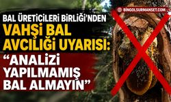 Bal Üreticileri Birliği’nden Vahşi Bal Avcılığı Uyarısı