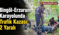 Bingöl-Erzurum Karayolunda Trafik Kazası: 2 Yaralı
