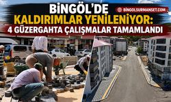 Bingöl'de Kaldırımlar Yenileniyor: 4 Güzergahta Çalışmalar Tamamlandı