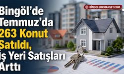 Bingöl’de Temmuz’da 263 Konut Satıldı, İş Yeri Satışları Arttı